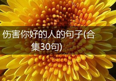 伤害你好的人的句子(合集30句)