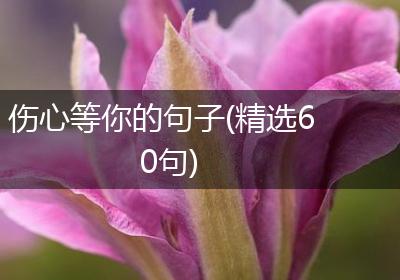 伤心等你的句子(精选60句)