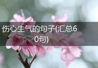 伤心生气的句子(汇总60句)