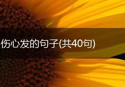 伤心发的句子(共40句)