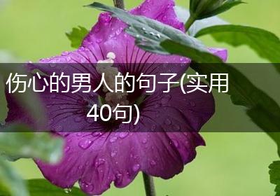 伤心的男人的句子(实用40句)