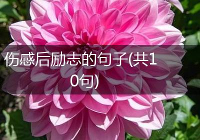 伤感后励志的句子(共10句)