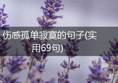 伤感孤单寂寞的句子(实用69句)