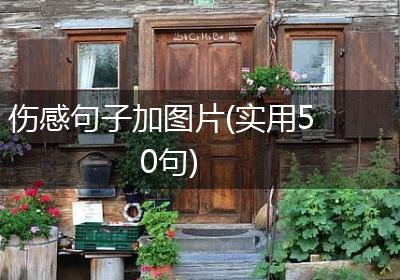 伤感句子加图片(实用50句)
