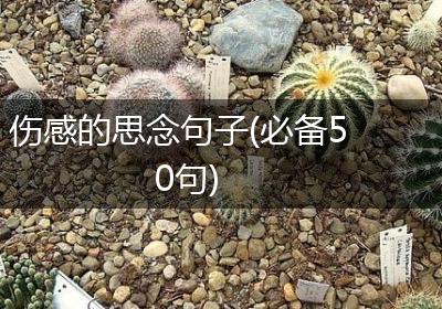 伤感的思念句子(必备50句)