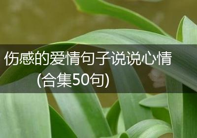 伤感的爱情句子说说心情(合集50句)