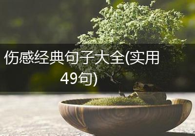伤感经典句子大全(实用49句)