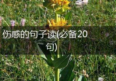 伤感的句子读(必备20句)