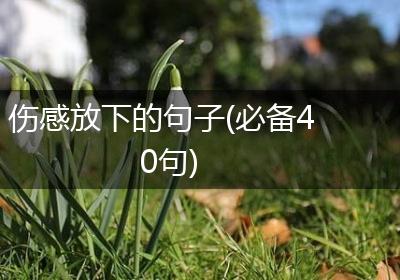 伤感放下的句子(必备40句)