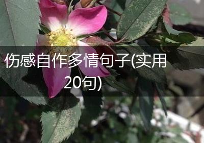 伤感自作多情句子(实用20句)