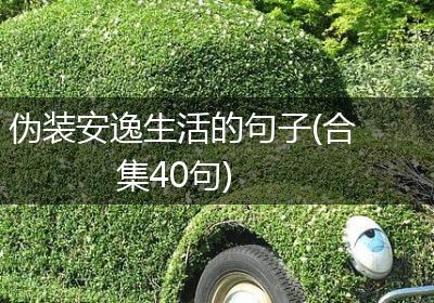 伪装安逸生活的句子(合集40句)