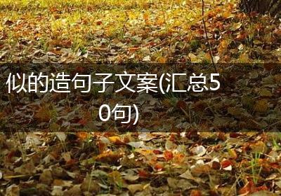 似的造句子文案(汇总50句)