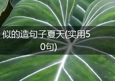 似的造句子夏天(实用50句)
