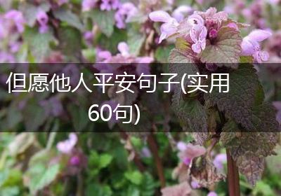 但愿他人平安句子(实用60句)