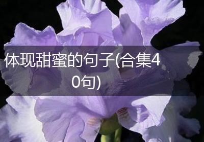 体现甜蜜的句子(合集40句)