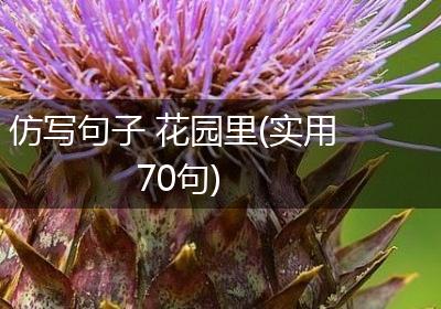 仿写句子 花园里(实用70句)