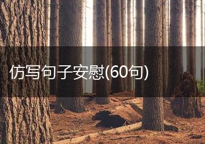 仿写句子安慰(60句)