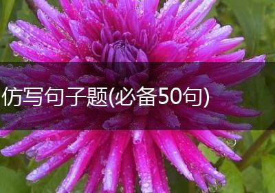 仿写句子题(必备50句)