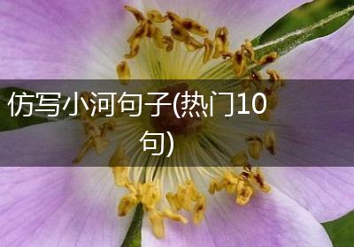 仿写小河句子(热门10句)