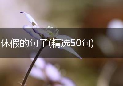 休假的句子(精选50句)
