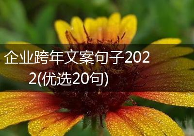 企业跨年文案句子2022(优选20句)