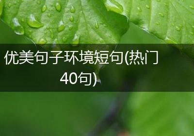优美句子环境短句(热门40句)