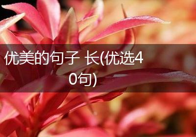 优美的句子 长(优选40句)