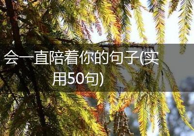 会一直陪着你的句子(实用50句)