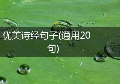 优美诗经句子(通用20句)