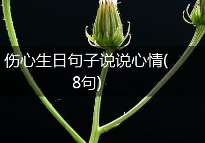 伤心生日句子说说心情(8句)