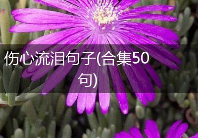 伤心流泪句子(合集50句)