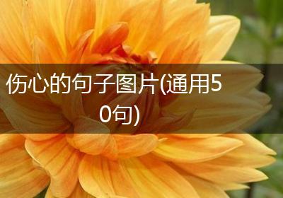 伤心的句子图片(通用50句)