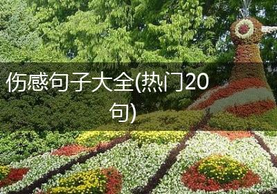 伤感句子大全(热门20句)