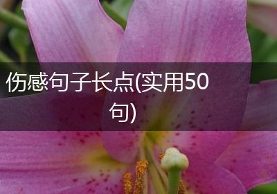 伤感句子长点(实用50句)