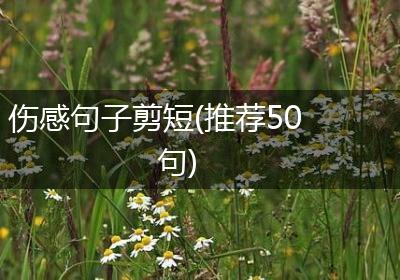 伤感句子剪短(推荐50句)