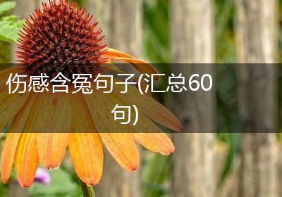 伤感含冤句子(汇总60句)