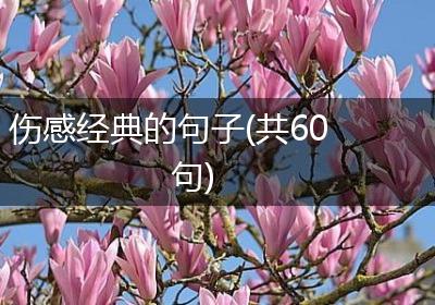 伤感经典的句子(共60句)