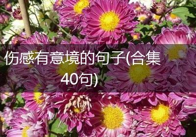 伤感有意境的句子(合集40句)