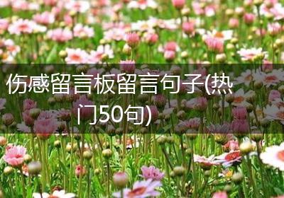 伤感留言板留言句子(热门50句)