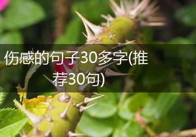 伤感的句子30多字(推荐30句)
