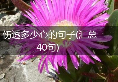 伤透多少心的句子(汇总40句)