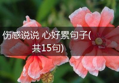 伤感说说 心好累句子(共15句)