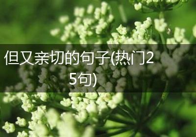 但又亲切的句子(热门25句)