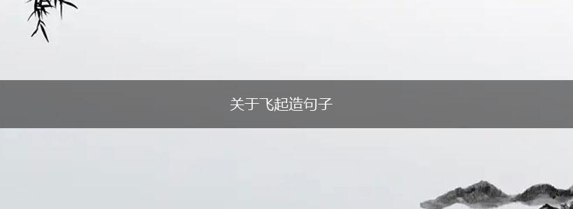 关于飞起造句子,第1张