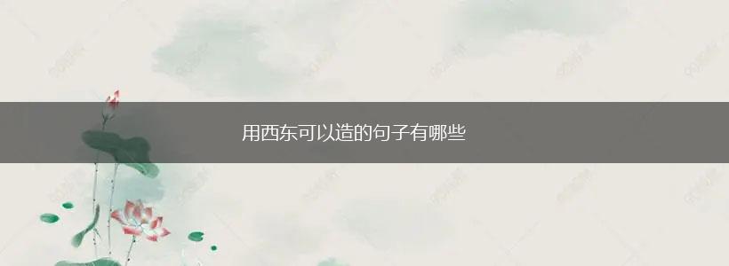 用西东可以造的句子有哪些,第1张 用西东可以造的句子有哪些,第1张