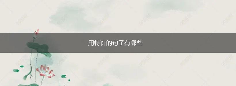 用特许的句子有哪些,第1张 用特许的句子有哪些,第1张