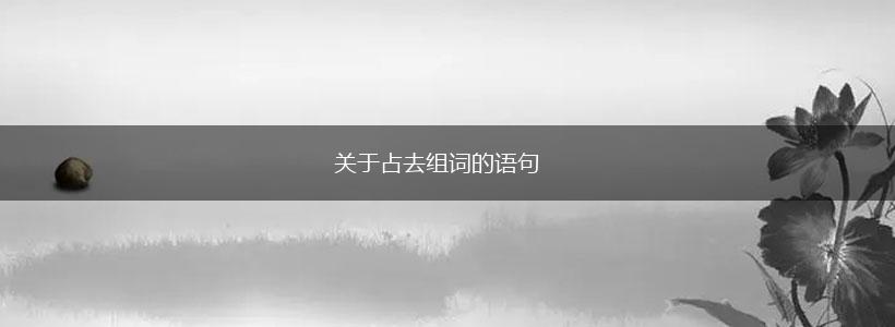 关于占去组词的语句,第1张 关于占去组词的语句,第1张
