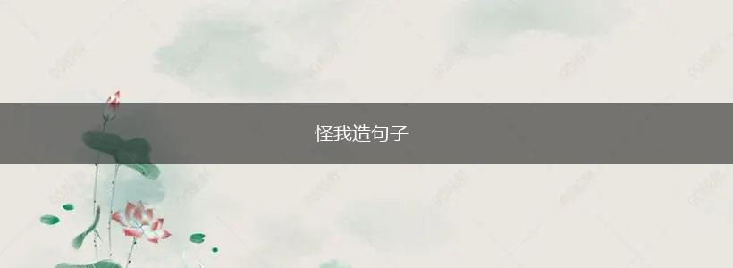 怪我造句子,第1张 怪我造句子,第1张