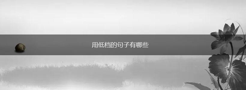 用低档的句子有哪些,第1张 用低档的句子有哪些,第1张