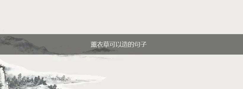 薰衣草可以造的句子,第1张 薰衣草可以造的句子,第1张